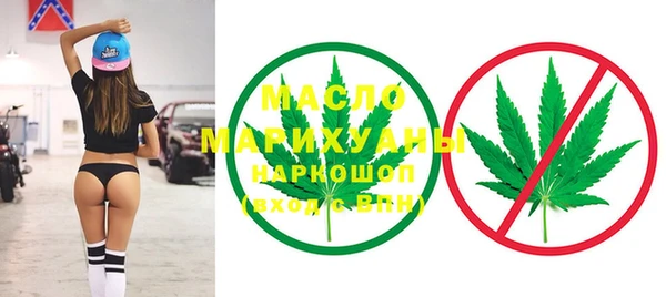 дмт Лабытнанги
