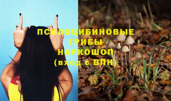 дмт Лабытнанги