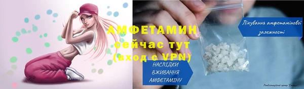 винт Лагань