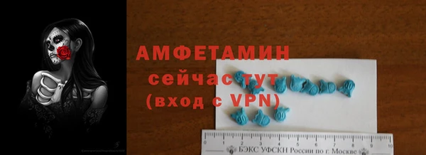 винт Лагань