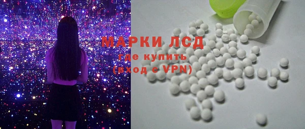 винт Лагань