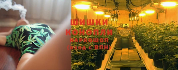 винт Лагань