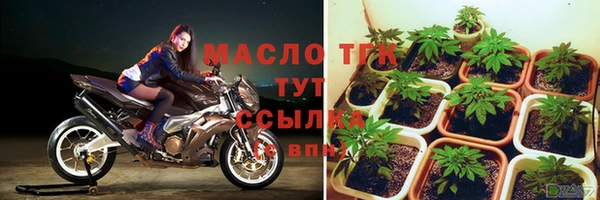дмт Лабытнанги
