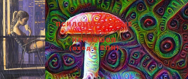 винт Лагань