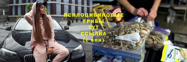 дмт Лабытнанги